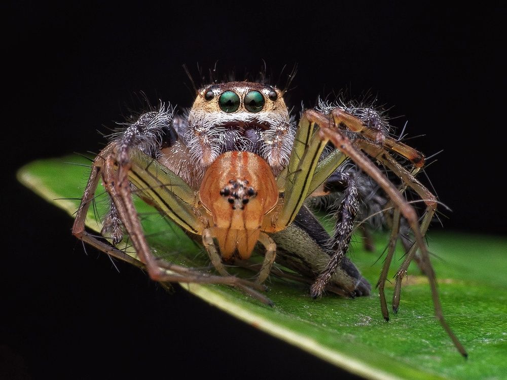 Photograph by Soujanya Bhadra