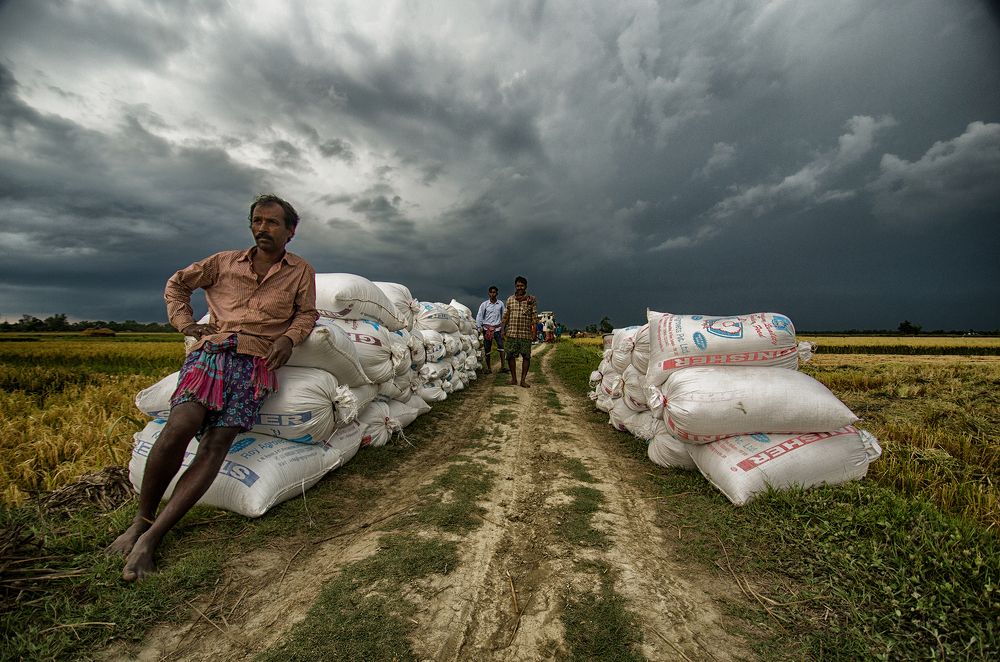 Photograph by Dipak Ray