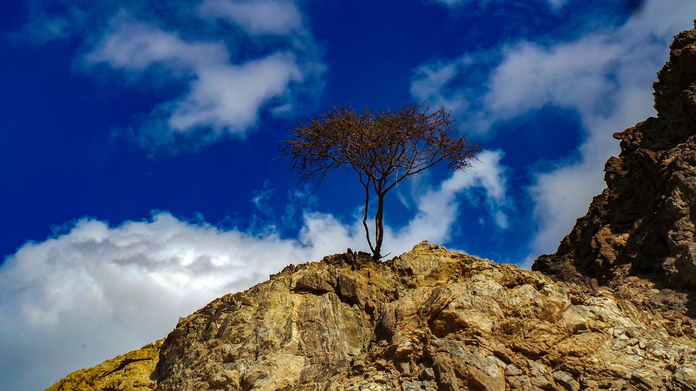 Photograph by Malavika Yoganandhan