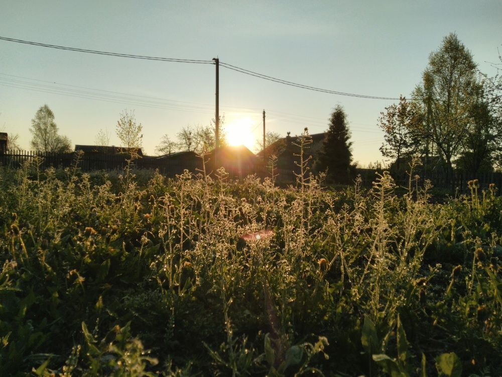 Майское утро