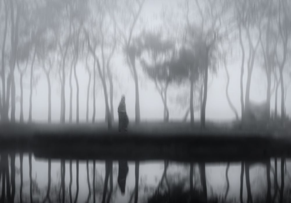 Photograph by Hossain S R