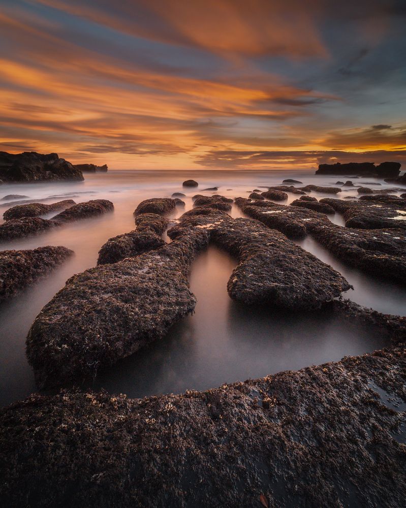 Photograph by I Dewa Nyoman Yaskara S.H.