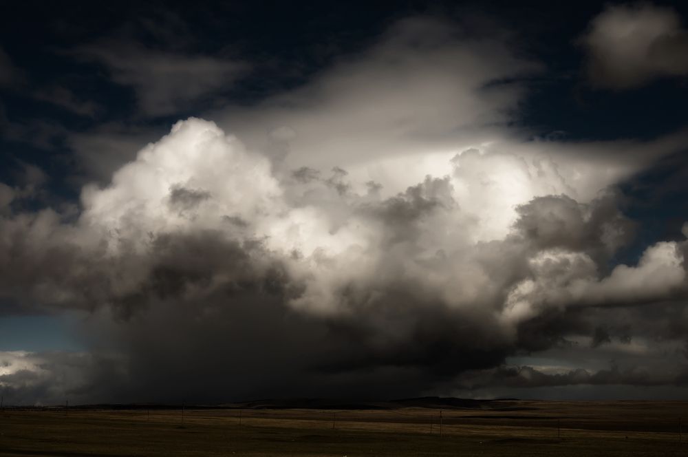 Идущая по земле.