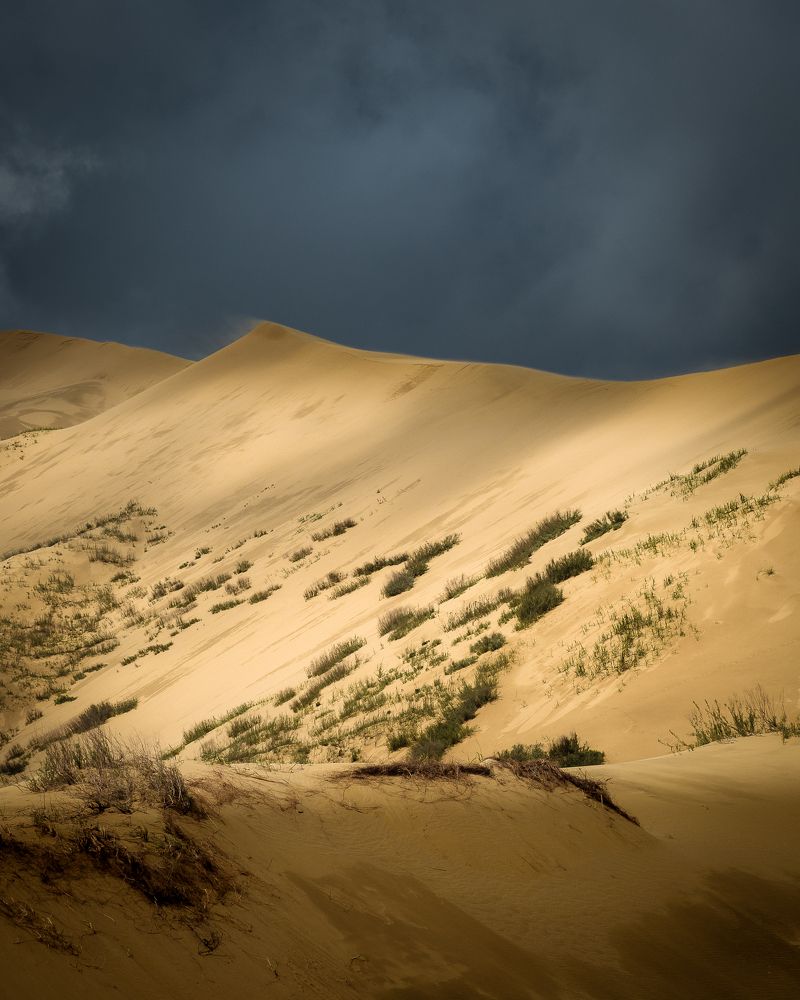 Photograph by Danila Kukarsky