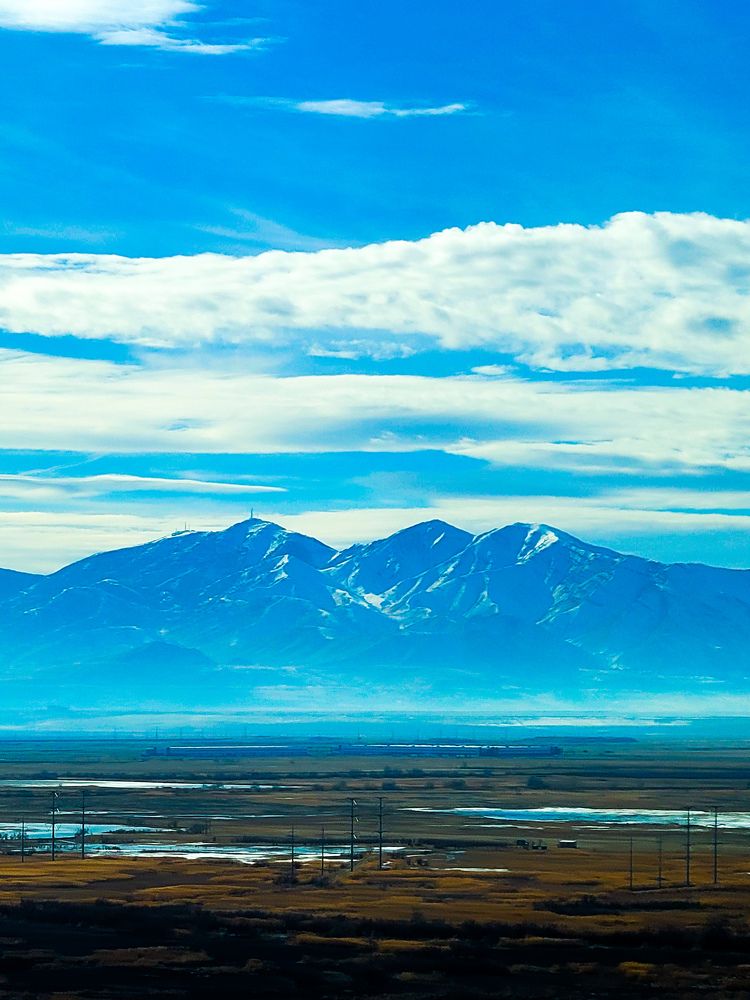 Photograph by Brian Scowcroft