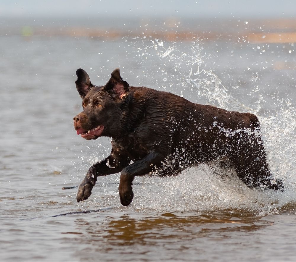 Photograph by Екатерина Любимова