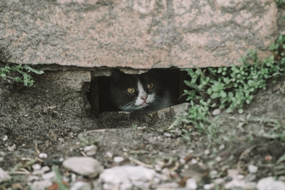 Photograph by Денис Косый