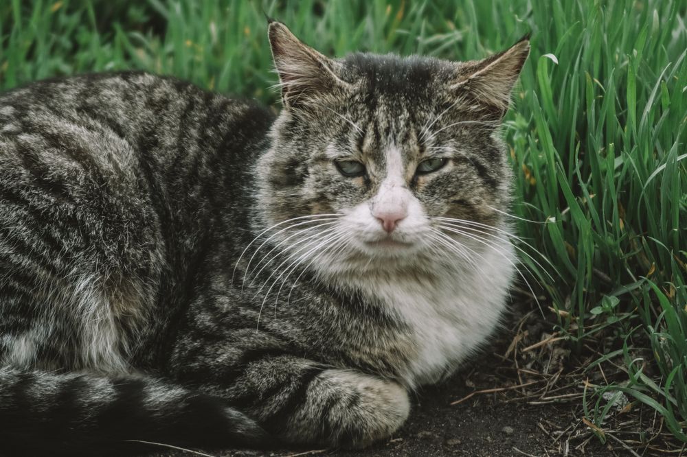 Photograph by Денис Косый