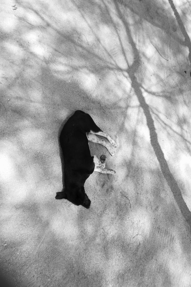 Фотография автора Firmansyah Angga