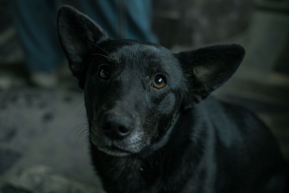 Photograph by Денис Косый