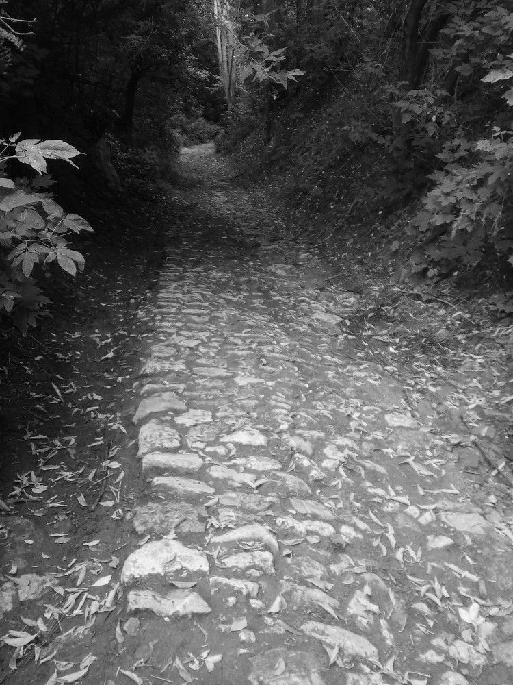 Photograph by Евгений Кочунов