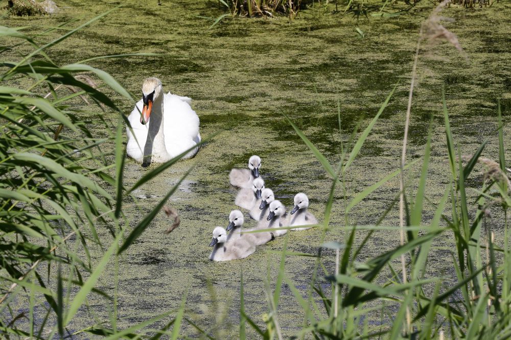 Photograph by Алексей Абашин