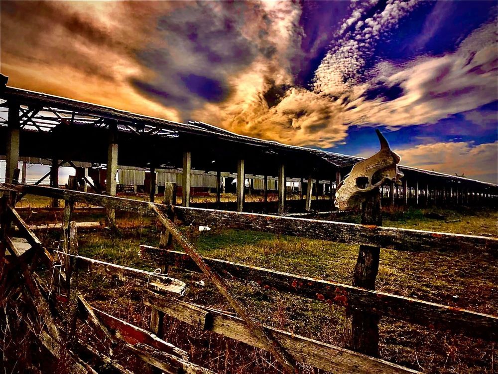 Фотография автора Денис Коваленко