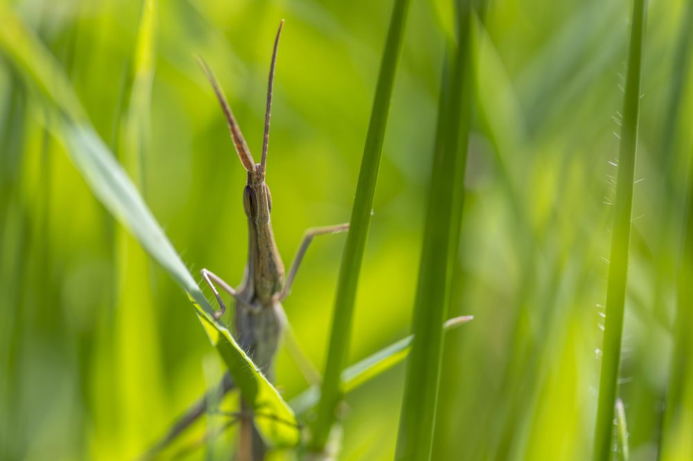 Фотография автора Nikolay Tatarchuk
