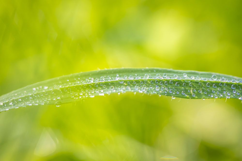 Фотография автора Nikolay Tatarchuk