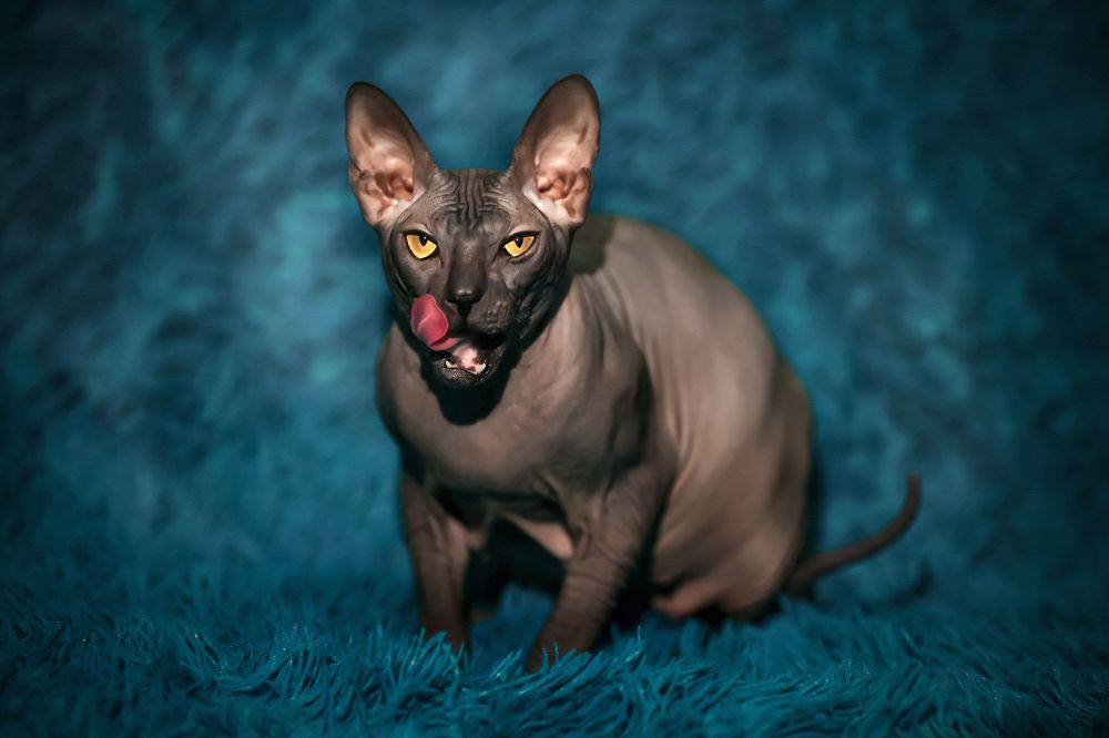 Photograph by Алина Рассохина