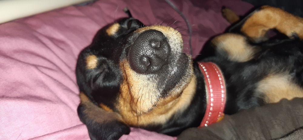 Photograph by Аліса Чарівна