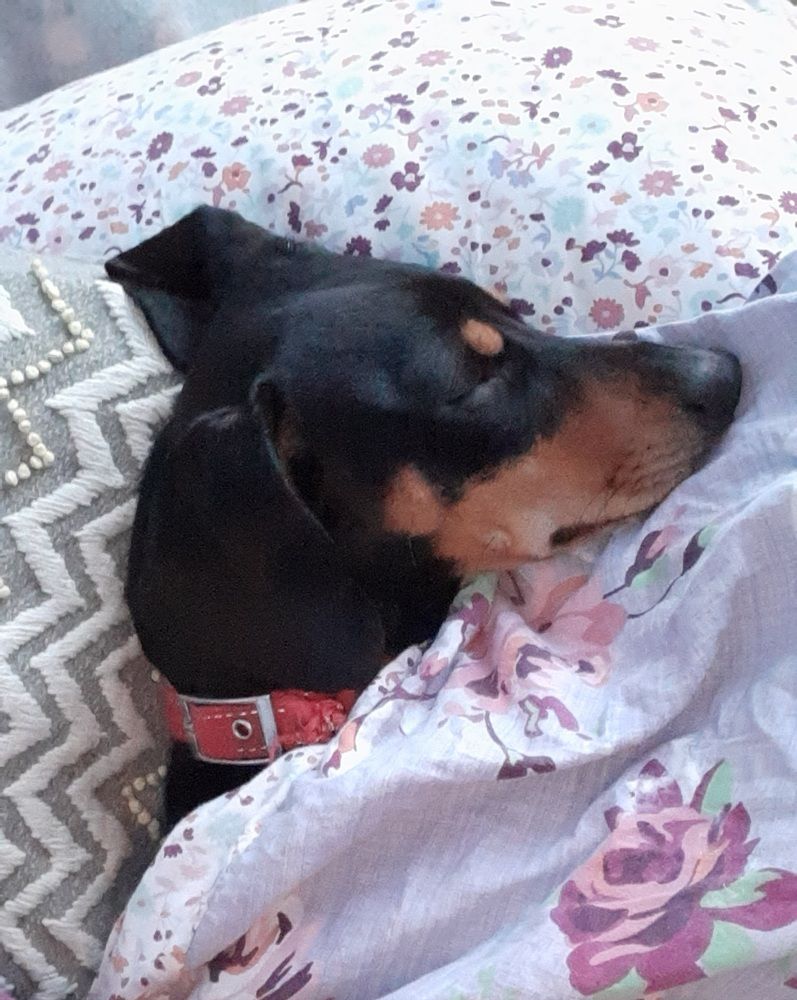 Photograph by Аліса Чарівна