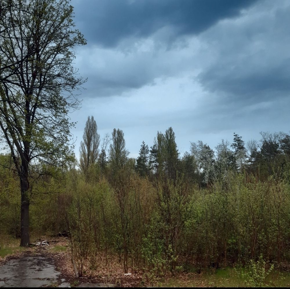 Photograph by Аліса Чарівна