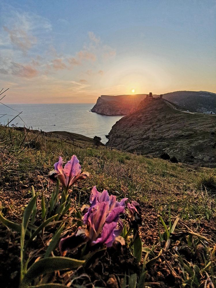 Балаклавский страж.