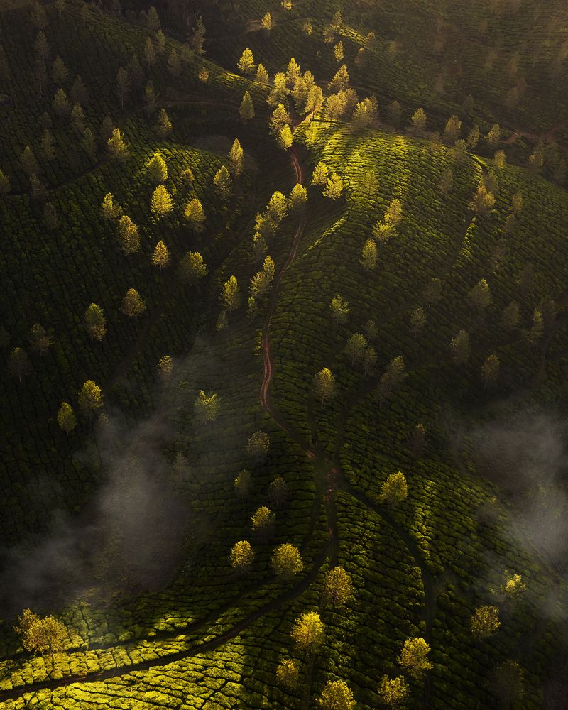 Photograph by Jidhun M G