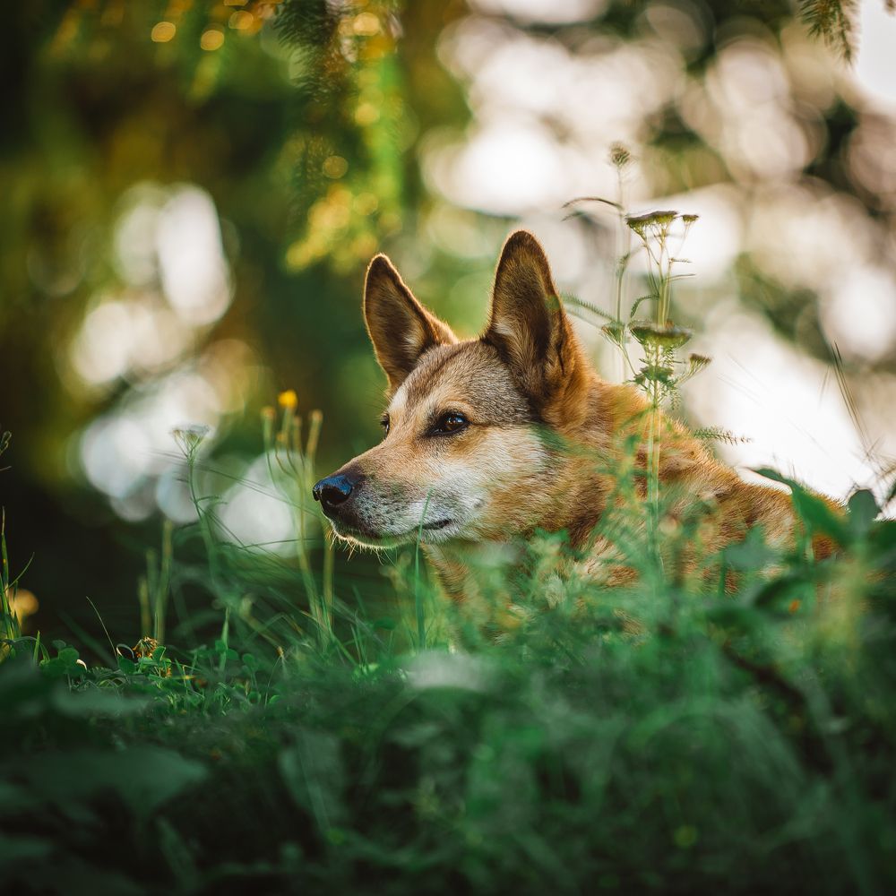 Photograph by Антон Малыгин