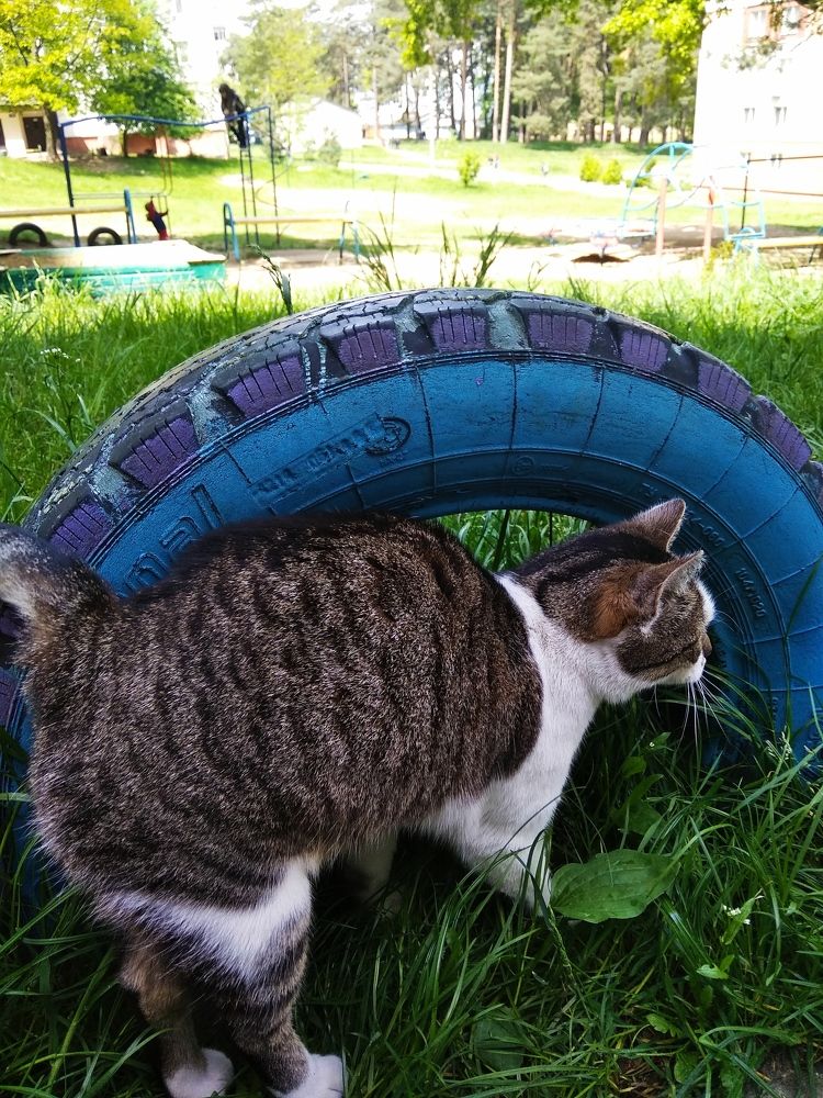 Photograph by Руслан