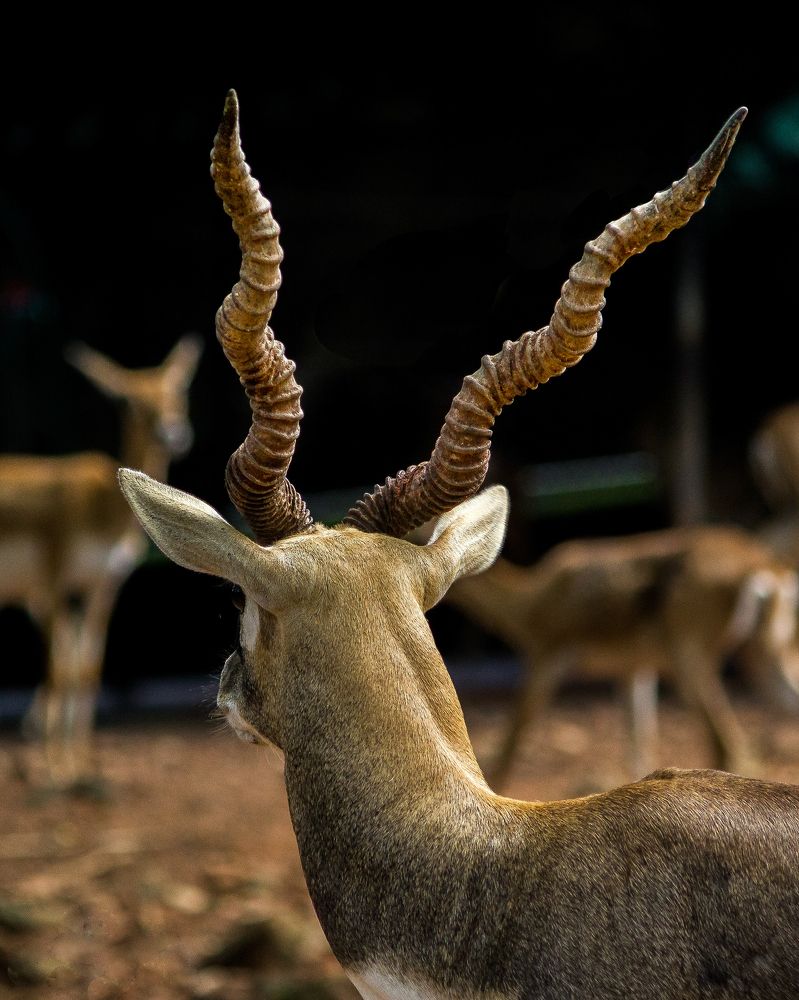 Photograph by Mithun Narayanan