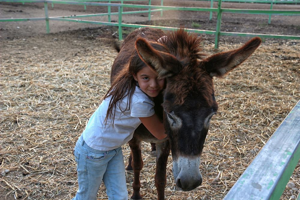 Photograph by Drora Baharal