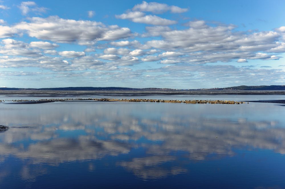 Photograph by Алексей Долженко