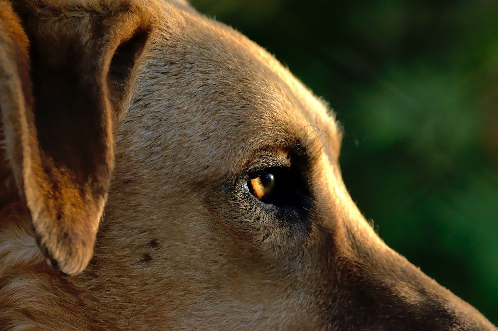 Photograph by Eduardo Bom