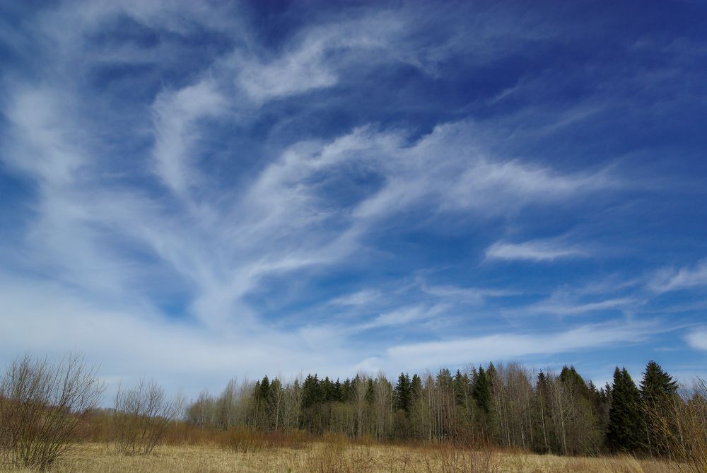 Photograph by Алексей Долженко