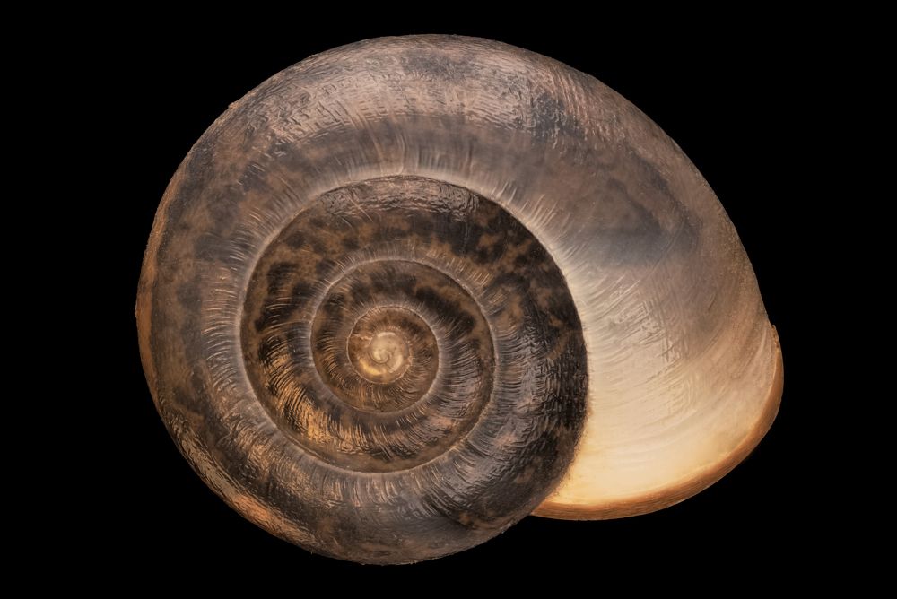 Photograph by Ahmed Sami