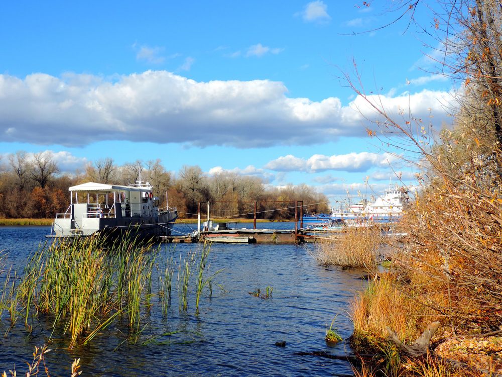 Photograph by Елена Шубочкина