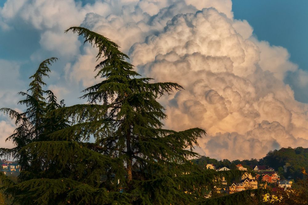 Photograph by Kapitan nemo