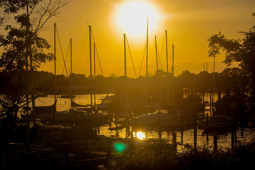 Photograph by Brian Scowcroft