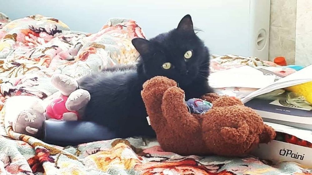 Фотография автора Мария Коледа