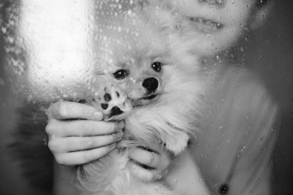 Photograph by Тинякова Светлана