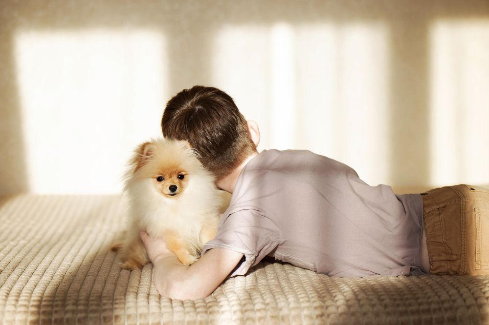 Photograph by Тинякова Светлана