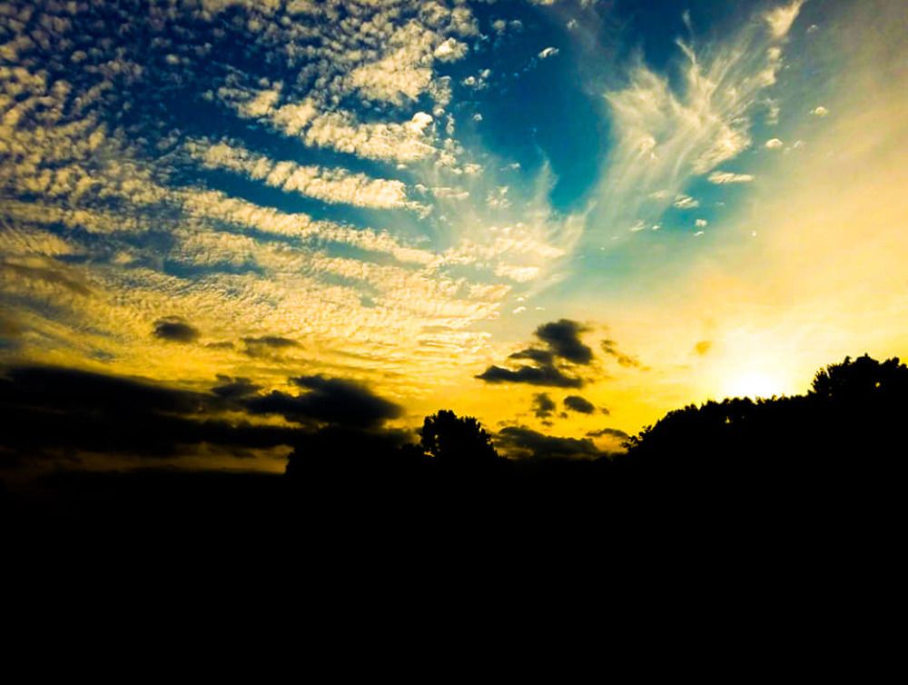 Photograph by Brian Scowcroft