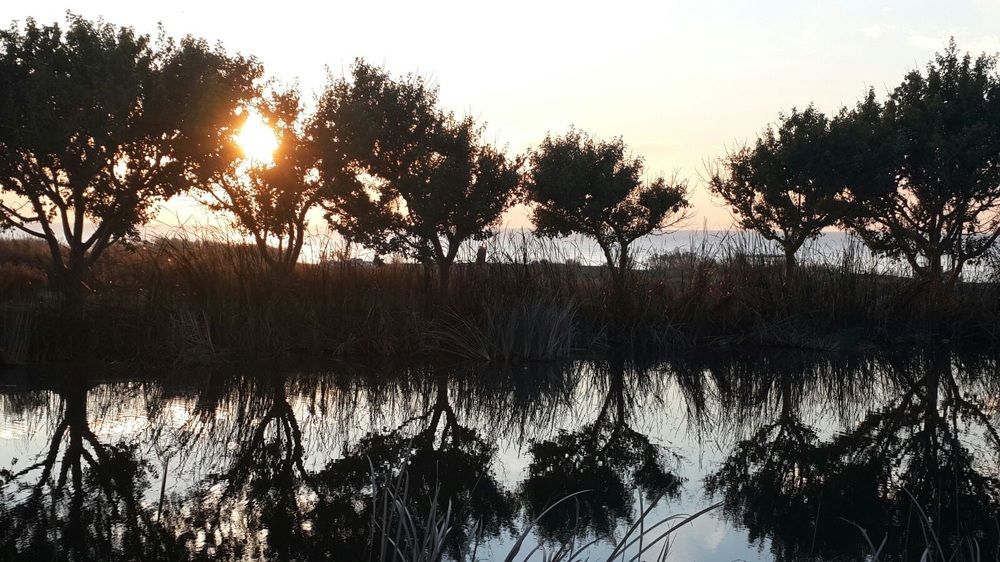 Photograph by махмуд Шихаби