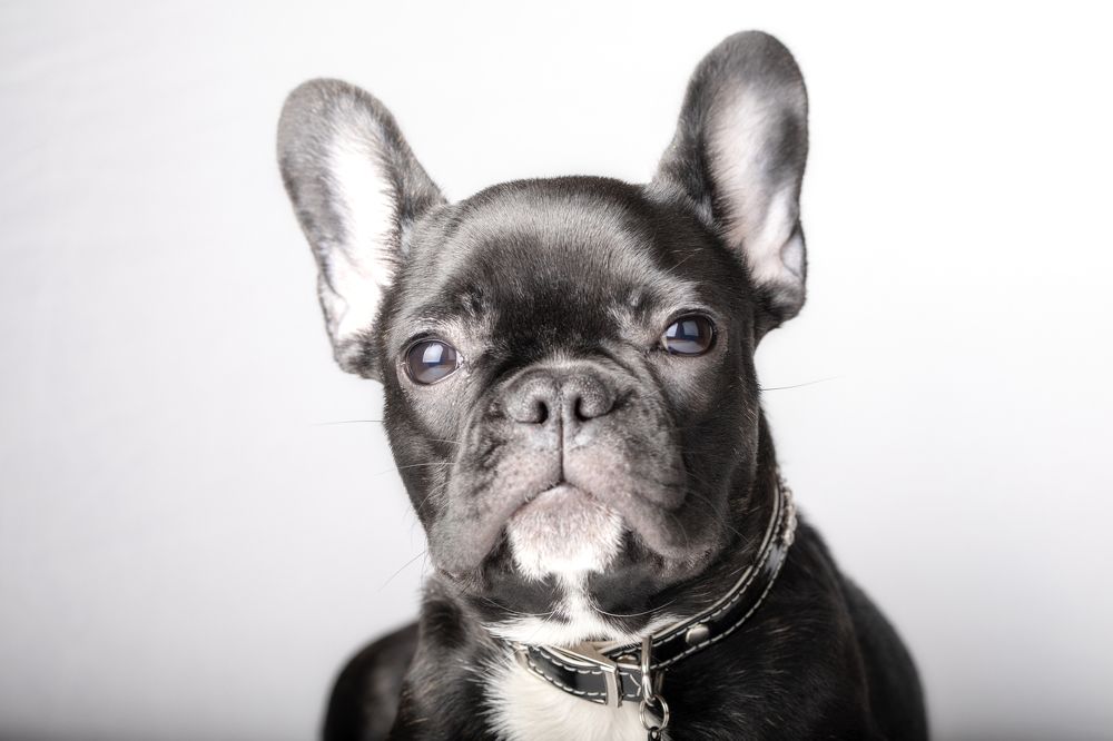 Photograph by Сергиенко Екатерина