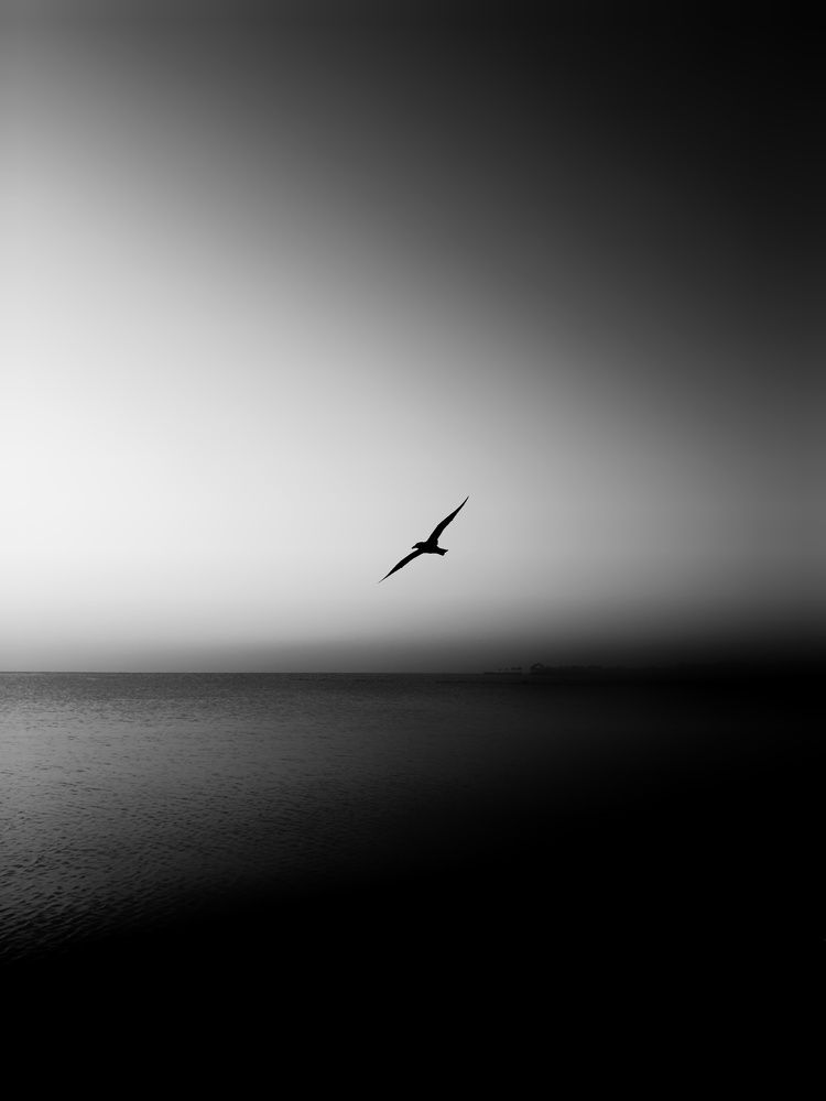 Photograph by Марина Курныш