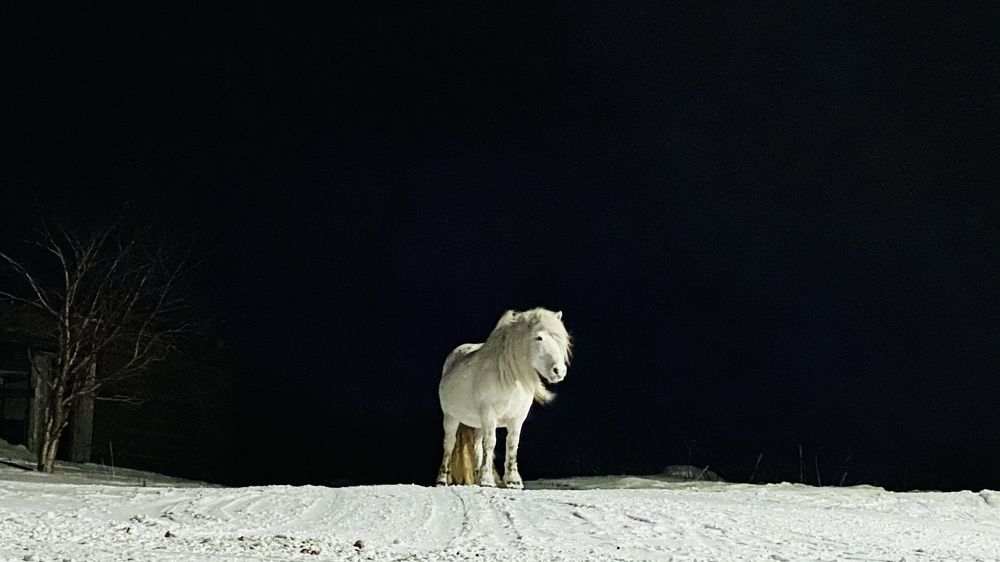 Photograph by Виктория Ярина