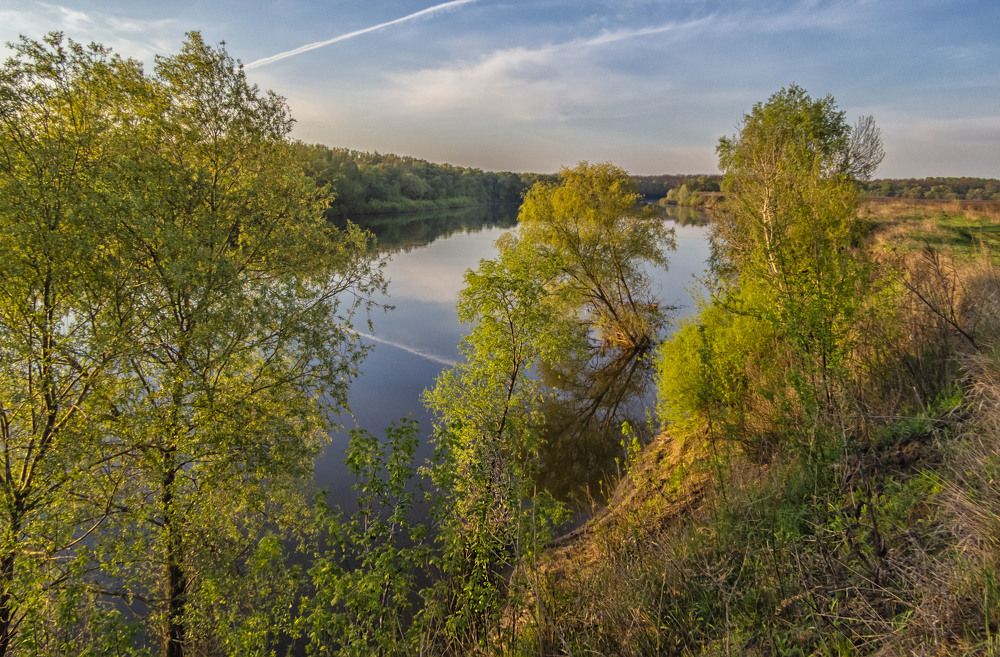 Утро на Дону