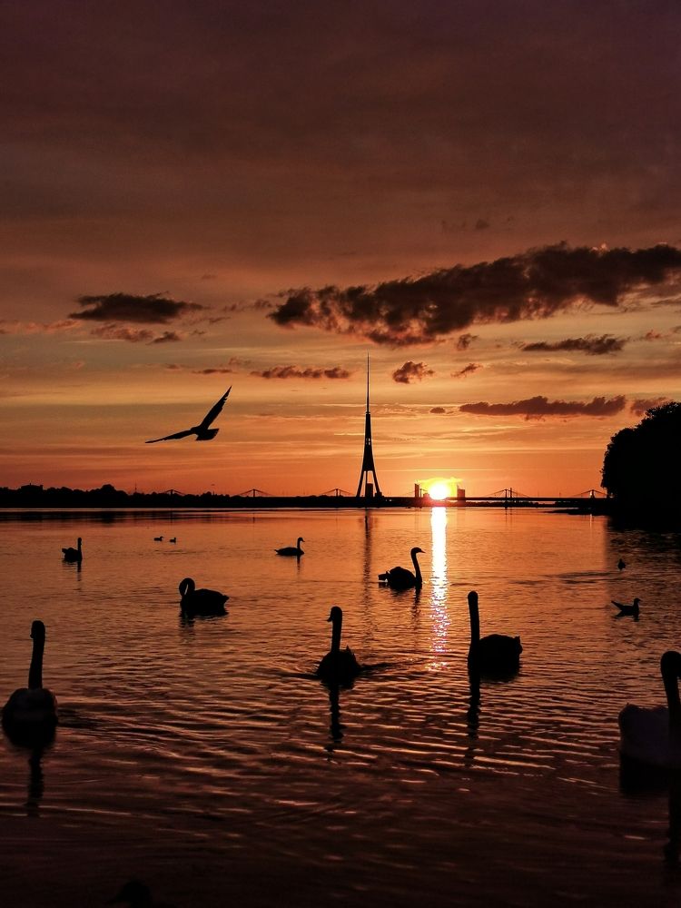 Photograph by Viktorija Shein