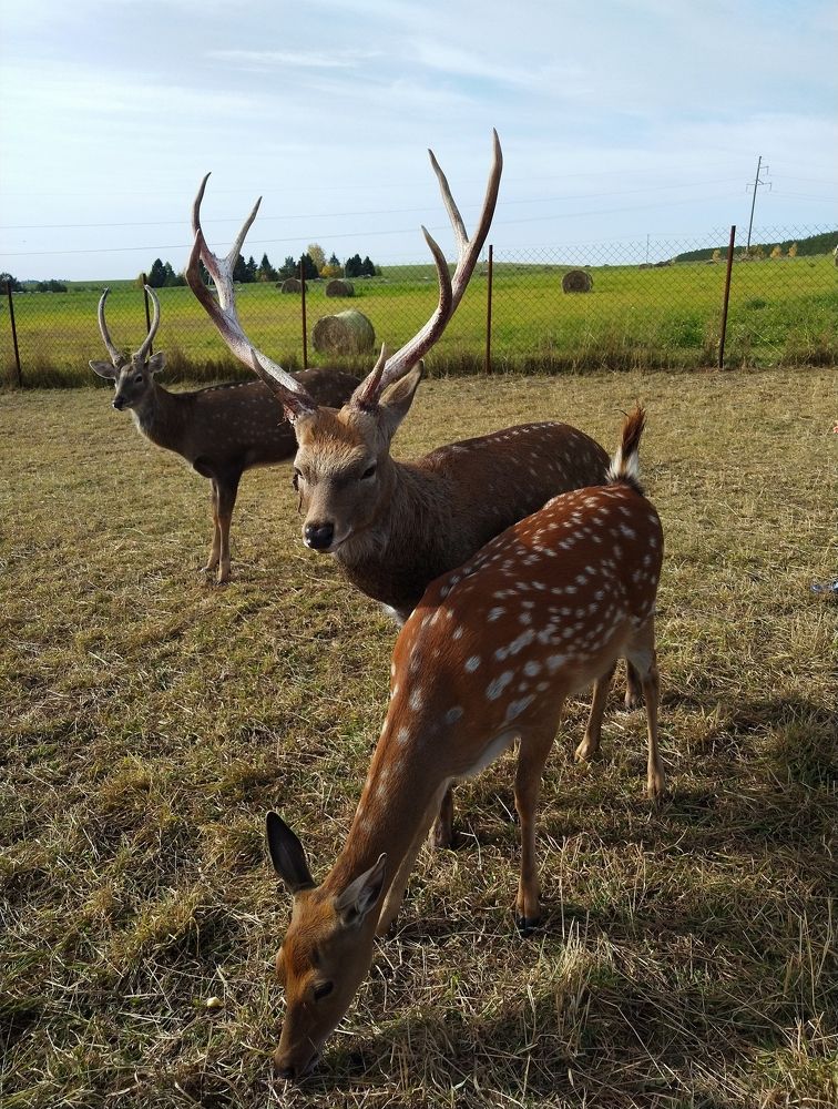 Photograph by Ольга Рогозина