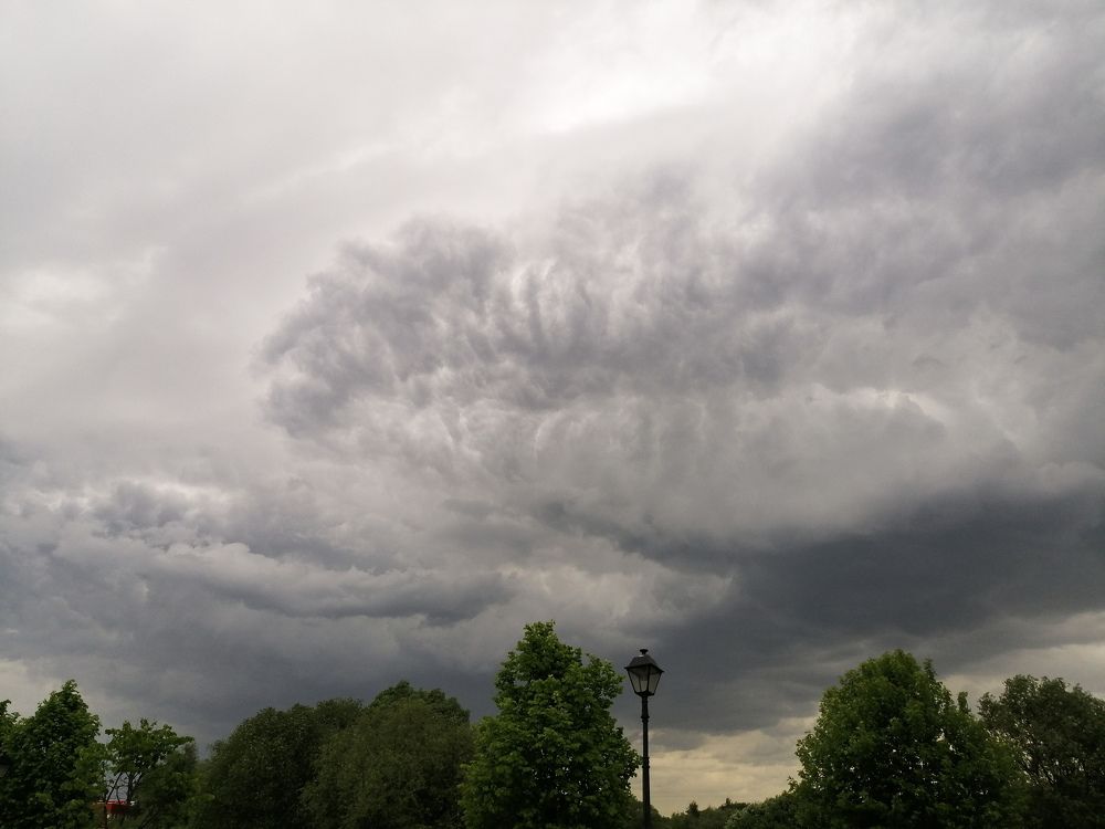 Photograph by Александра Пургаева