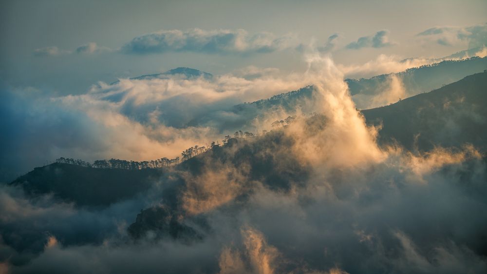 Там, где деревья встречаются с облаками