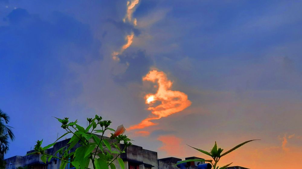 Photograph by Tanusri Ghosh